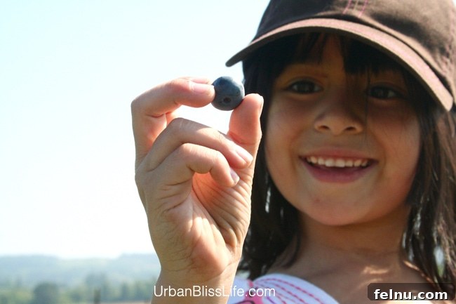 Freeze Blueberries for Year Round Freshness 3 girl holding blueberry