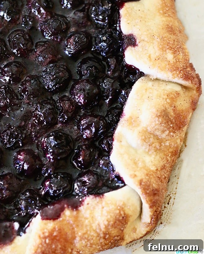 Freeze Blueberries for Year Round Freshness 9 Blueberry Galette