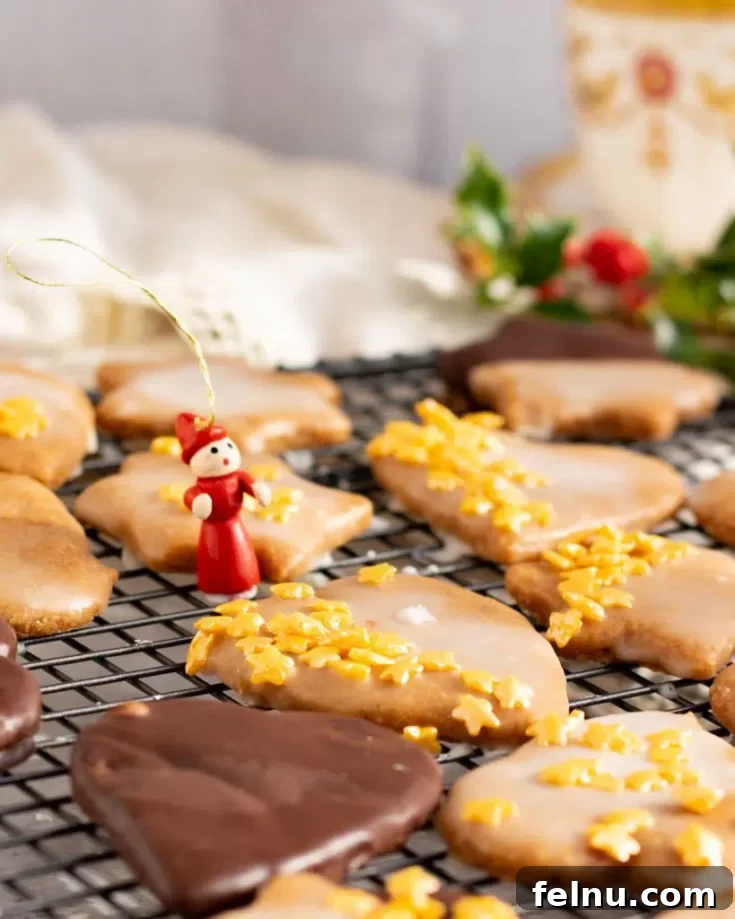Beautifully decorated vegan Lebkuchen (German Gingerbread Cookies) for Christmas.
