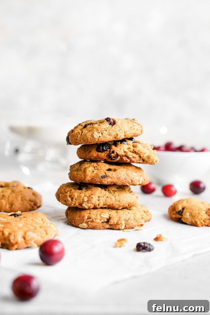 A stack of gluten-free vegan oatmeal cranberry cookies with dried cranberries visible.