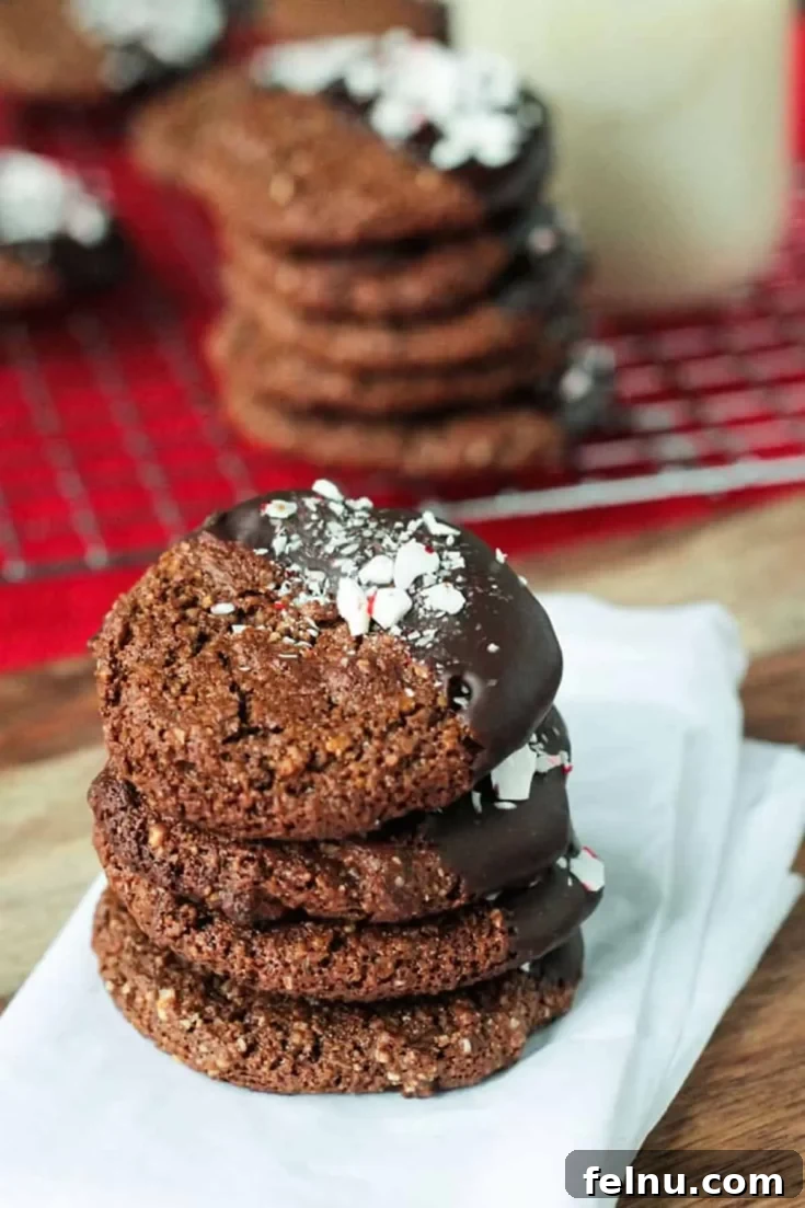 Chewy gluten-free chocolate molasses cookies, dusted with powdered sugar.