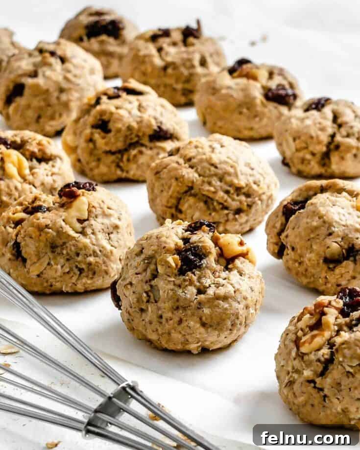 Vegan raisin oatmeal cookies with a chewy texture.