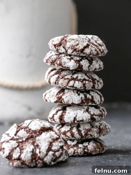 Fudgy vegan chocolate crinkle cookies, dusted with powdered sugar.