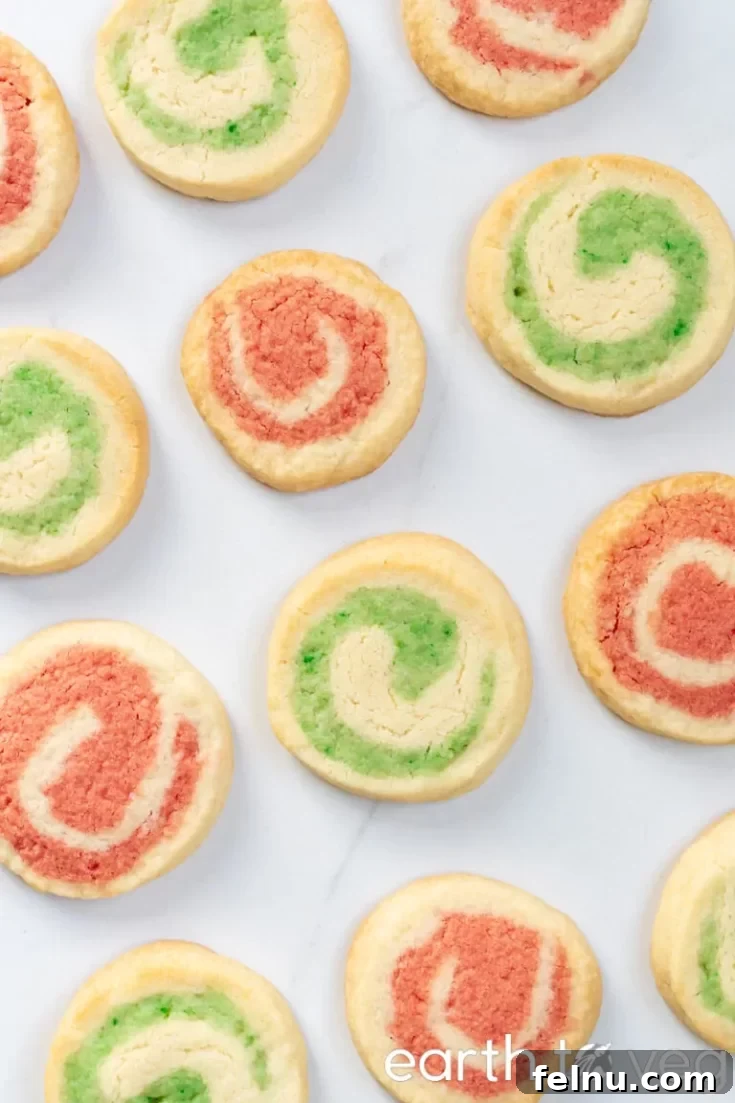 Vegan slice and bake cookies with festive designs.