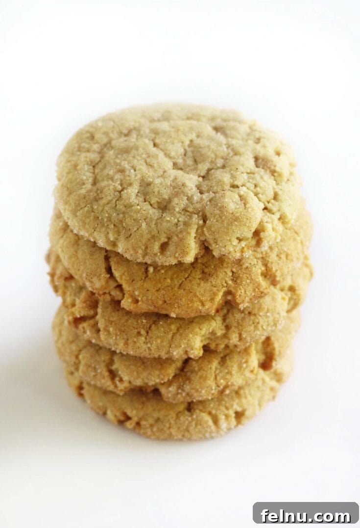 Soft and chewy gluten-free vegan snickerdoodles, rolled in cinnamon sugar.