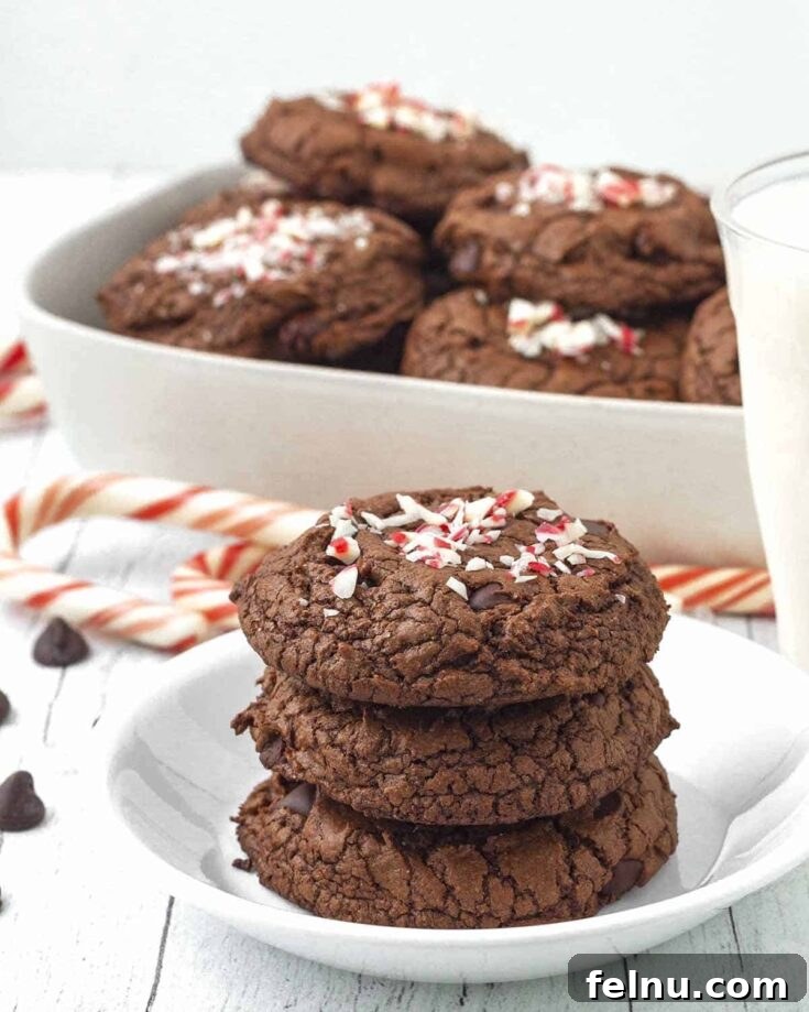 Soft and chewy vegan chocolate peppermint cookies topped with crushed candy canes.