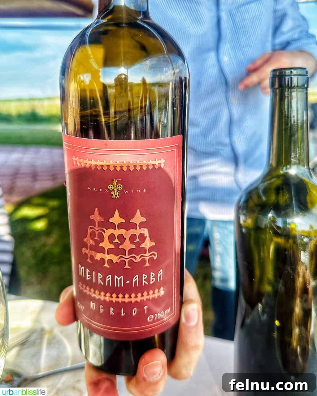 Kazakhstan Wine: A Journey Through Time and Taste 13 Hand holding a bottle of red Kazakhstan wine.