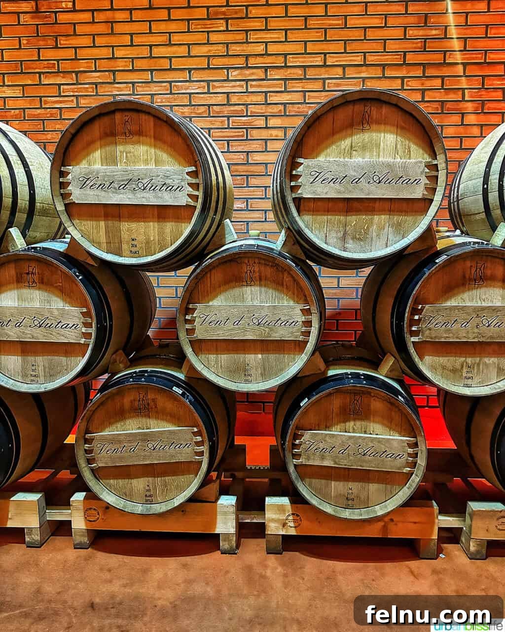 Kazakhstan Wine: A Journey Through Time and Taste 6 Wine barrels at Arba Winery in Kazakhstan.