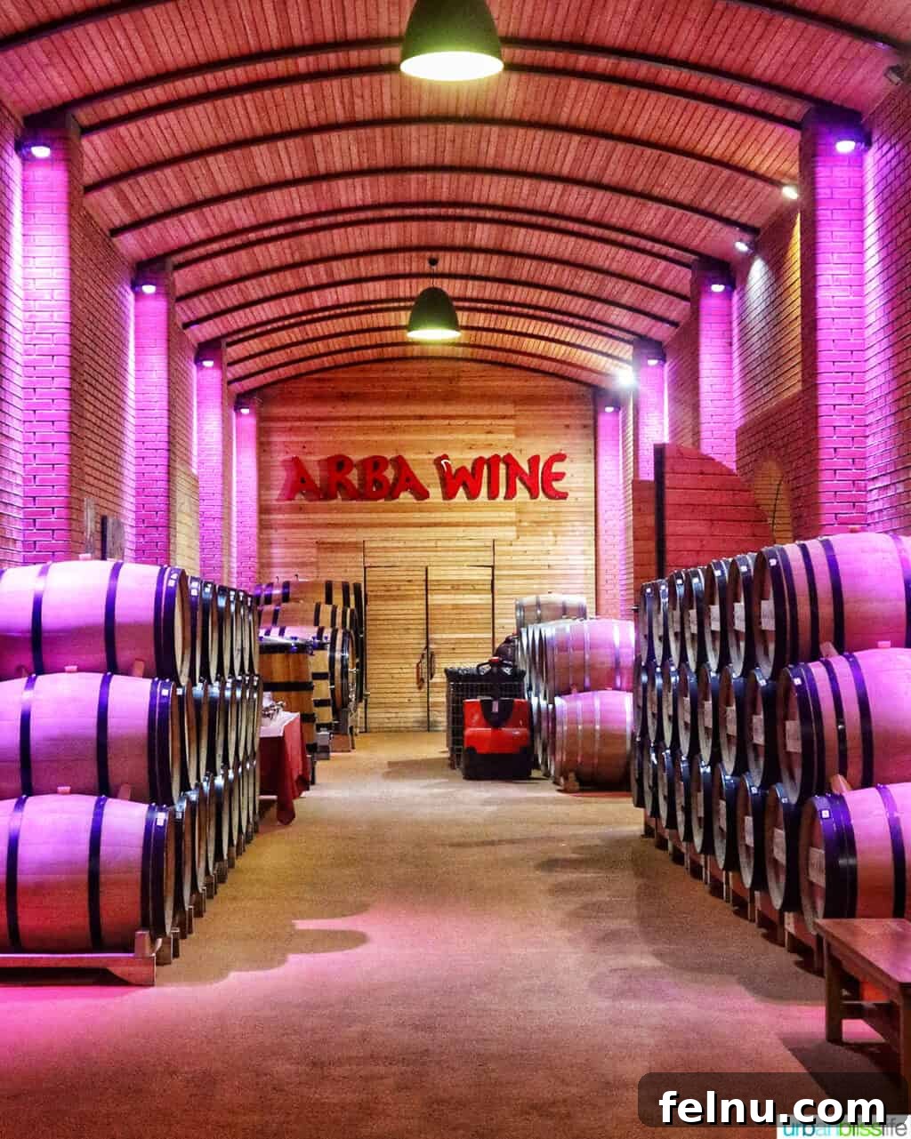 Kazakhstan Wine: A Journey Through Time and Taste 7 Wine barrels in the hallway of Arba Winery in Kazakhstan.