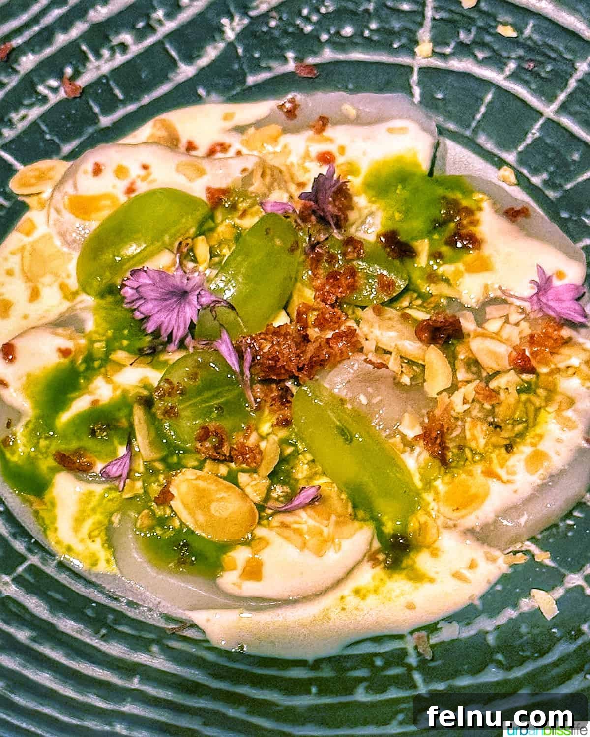 Fresh scallop crudo at Bar Oso.