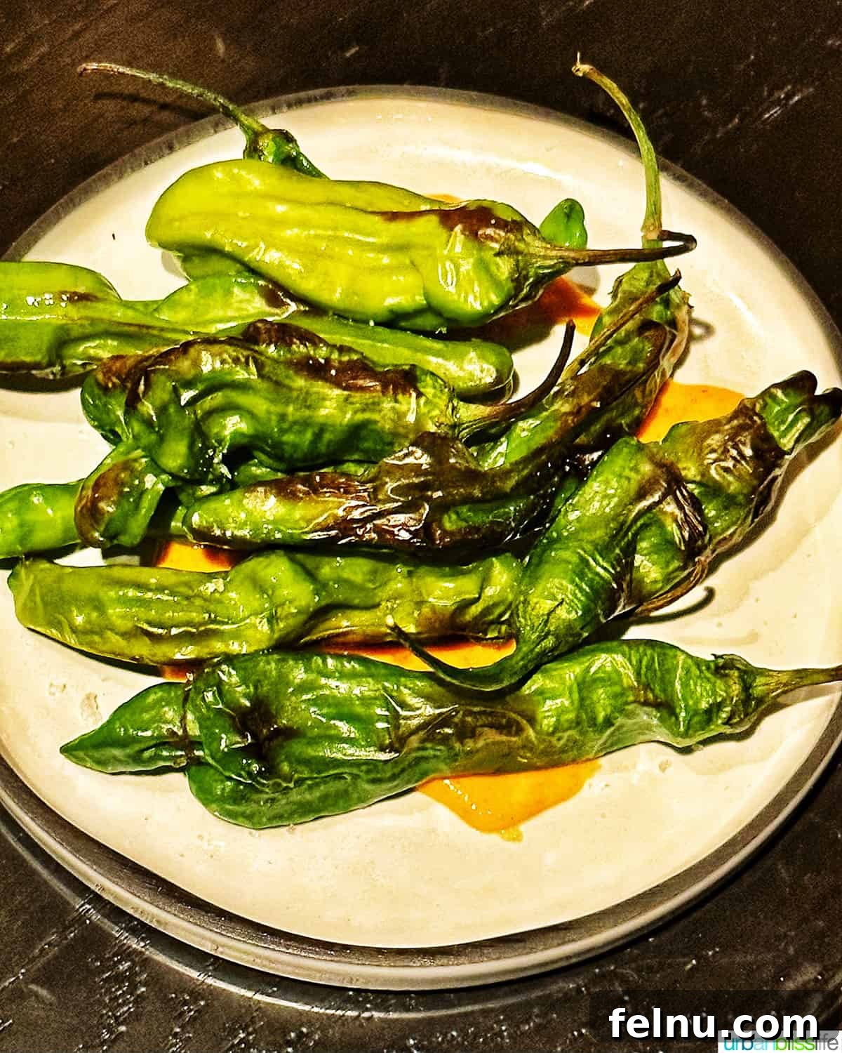 Savory shishito peppers at Bar Oso.