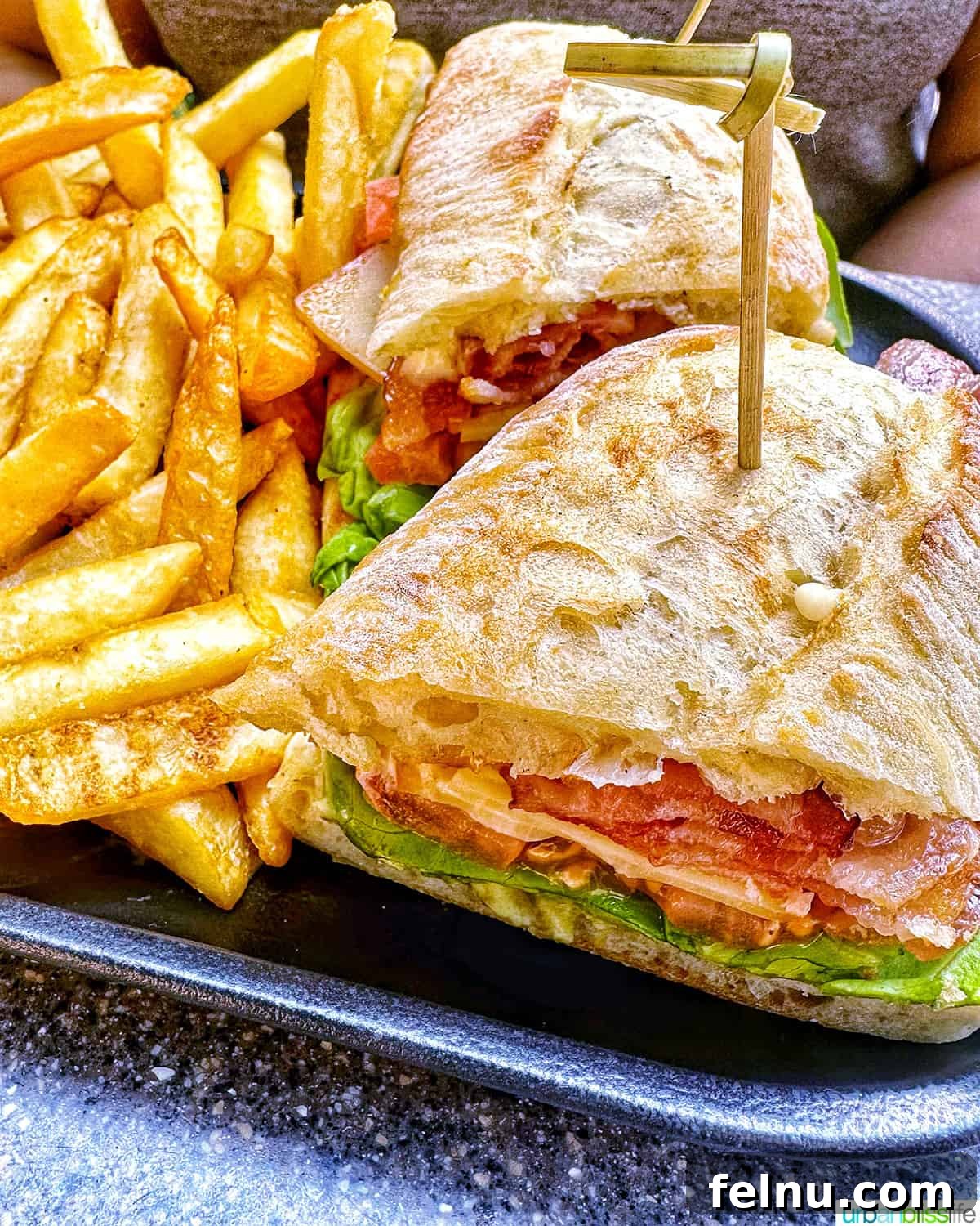 Hearty BLT sandwich and fries at Dubh Linn Gate Pub.