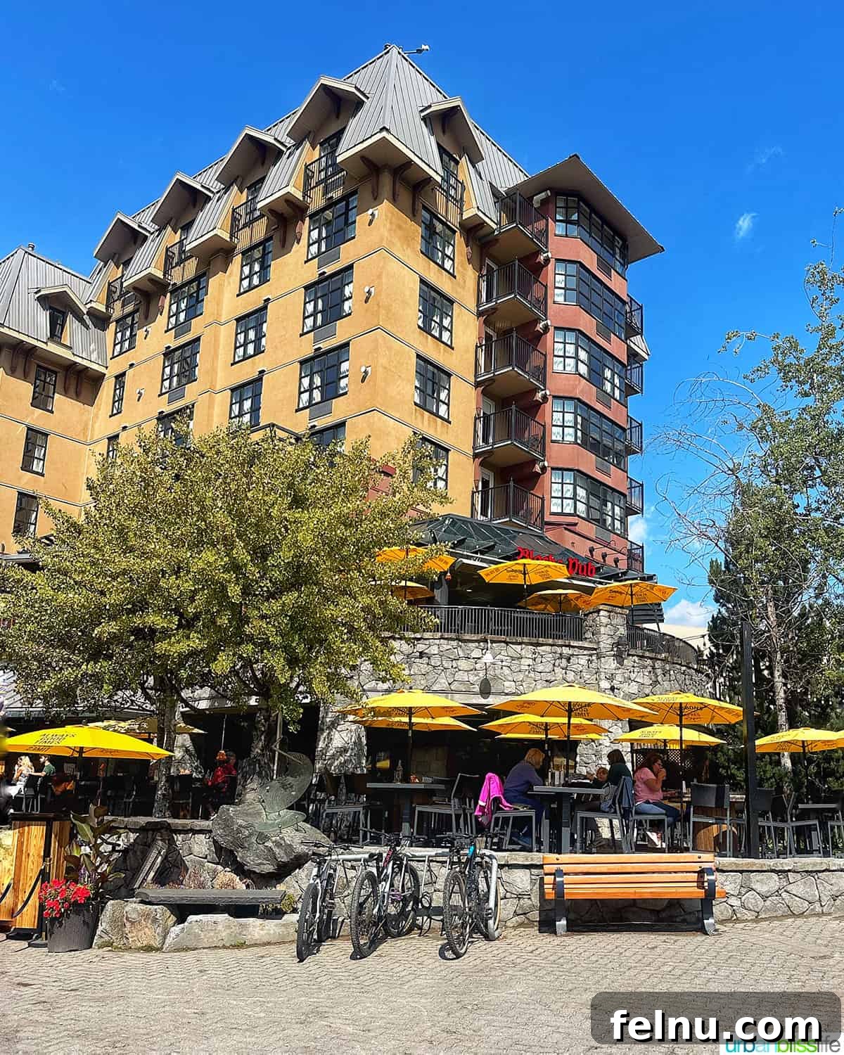 Exterior of Black's Pub in Whistler BC.