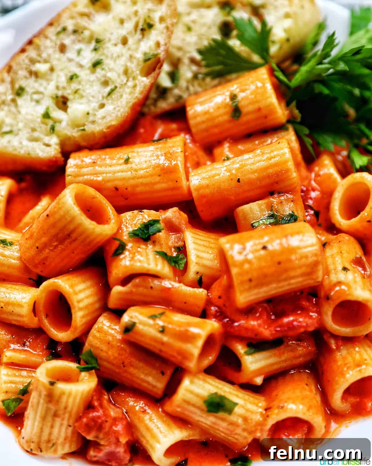 Creamy Dreamy Rigatoni: A Vodka Sauce Delight 3 Close-up of Rigatoni with Vodka Sauce