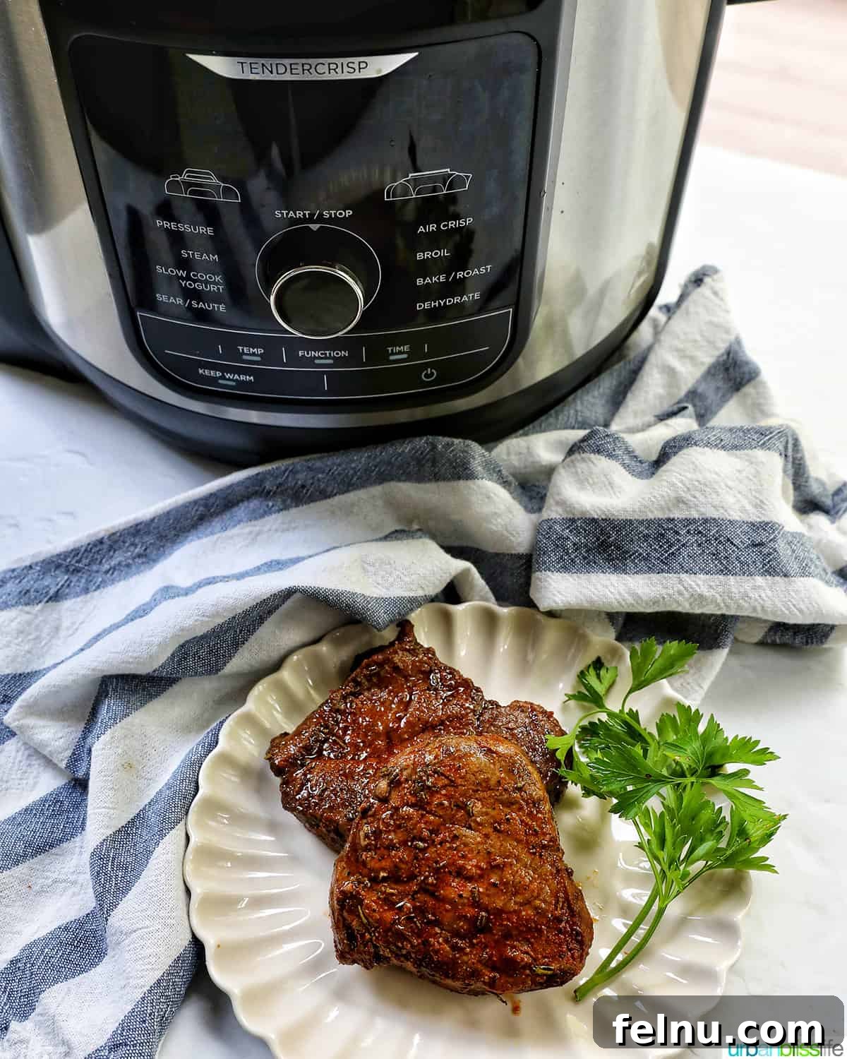 Air Fryer Filet Mignon Perfection 15 two perfectly cooked filet mignons on a plate in front of a modern air fryer.