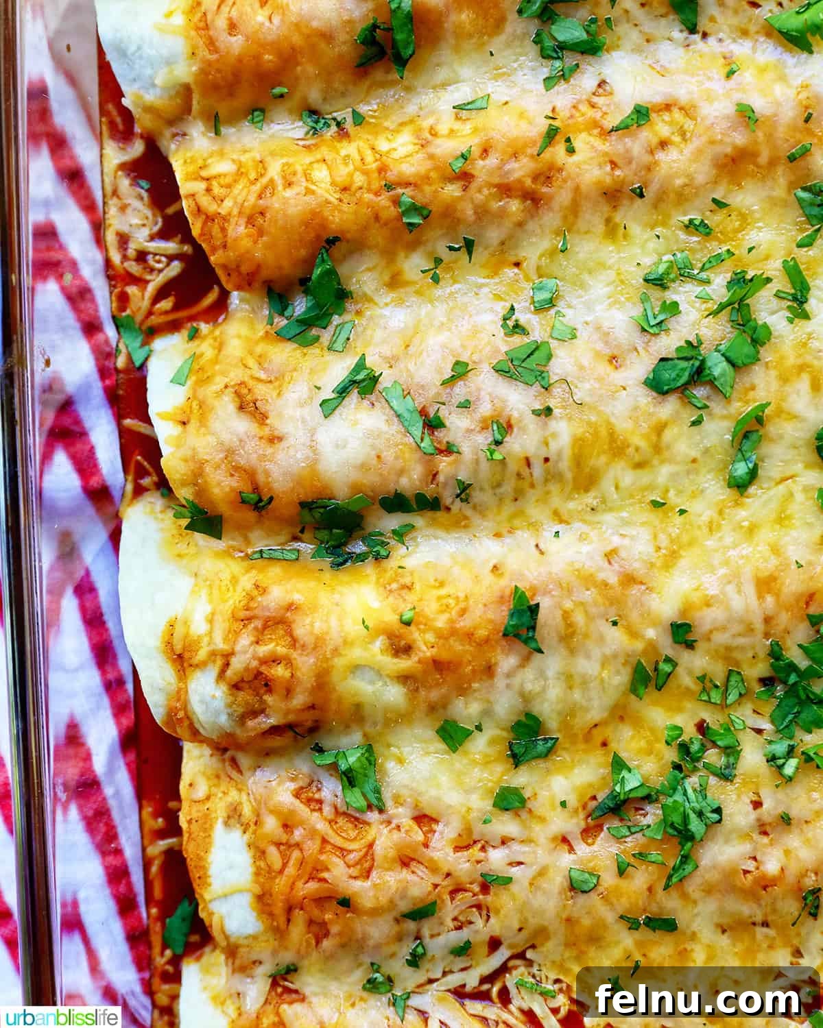 Delicious Leftover Turkey Enchilada Casserole 3 Cheesy turkey enchilada casserole in a glass baking dish with a red and white striped towel, fresh from the oven.