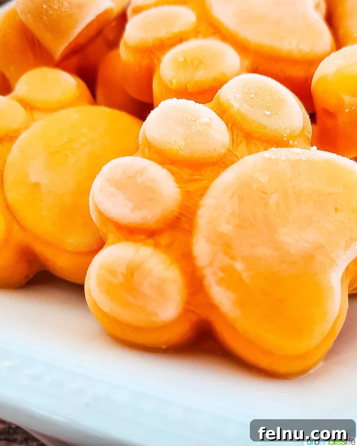 Easy Frozen Pumpkin Pupsicles 3 A close-up shot of frozen pumpkin yogurt dog treats in cute paw shapes, highlighting their smooth texture and appetizing color.