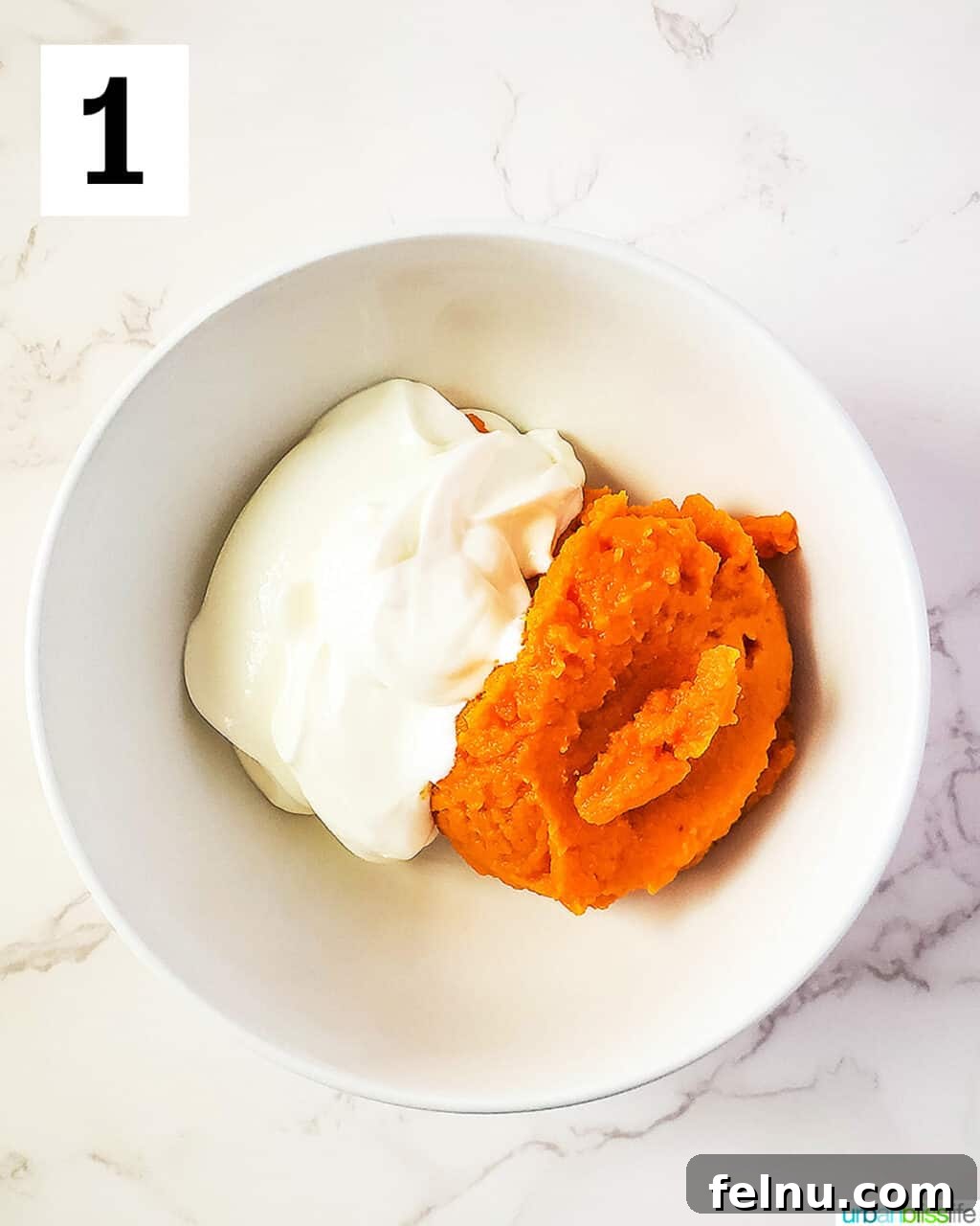 Easy Frozen Pumpkin Pupsicles 5 A large bowl containing distinct portions of plain yogurt on one side and pumpkin puree on the other, before mixing.