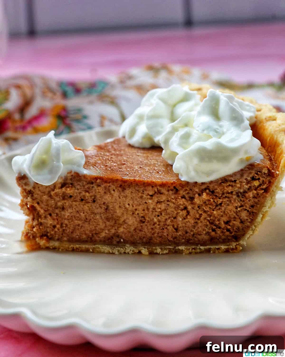 A perfectly baked slice of cinnamon pie topped with whipped cream.
