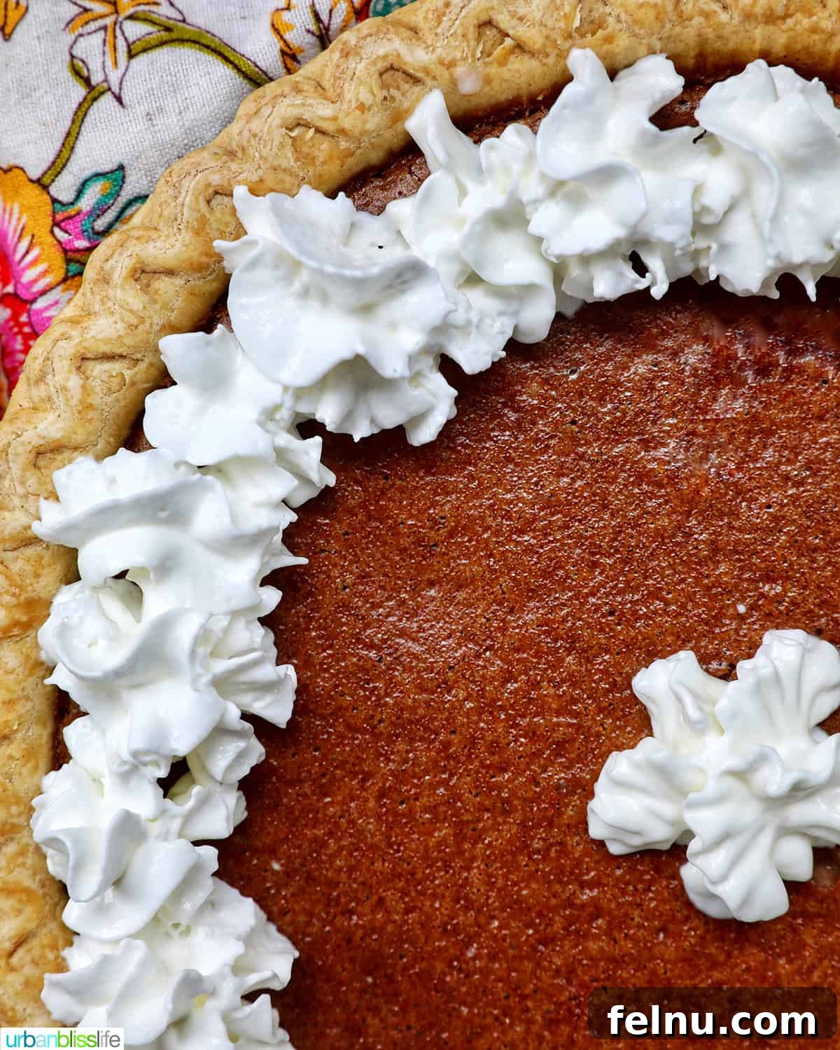 Close-up of baked cinnamon pie with whipped cream.