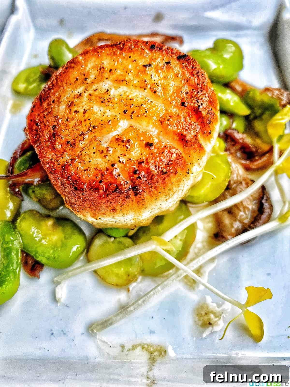 Culinary Gems of Downtown Santa Barbara 3 Seared scallops at Bouchon in Santa Barbara, California