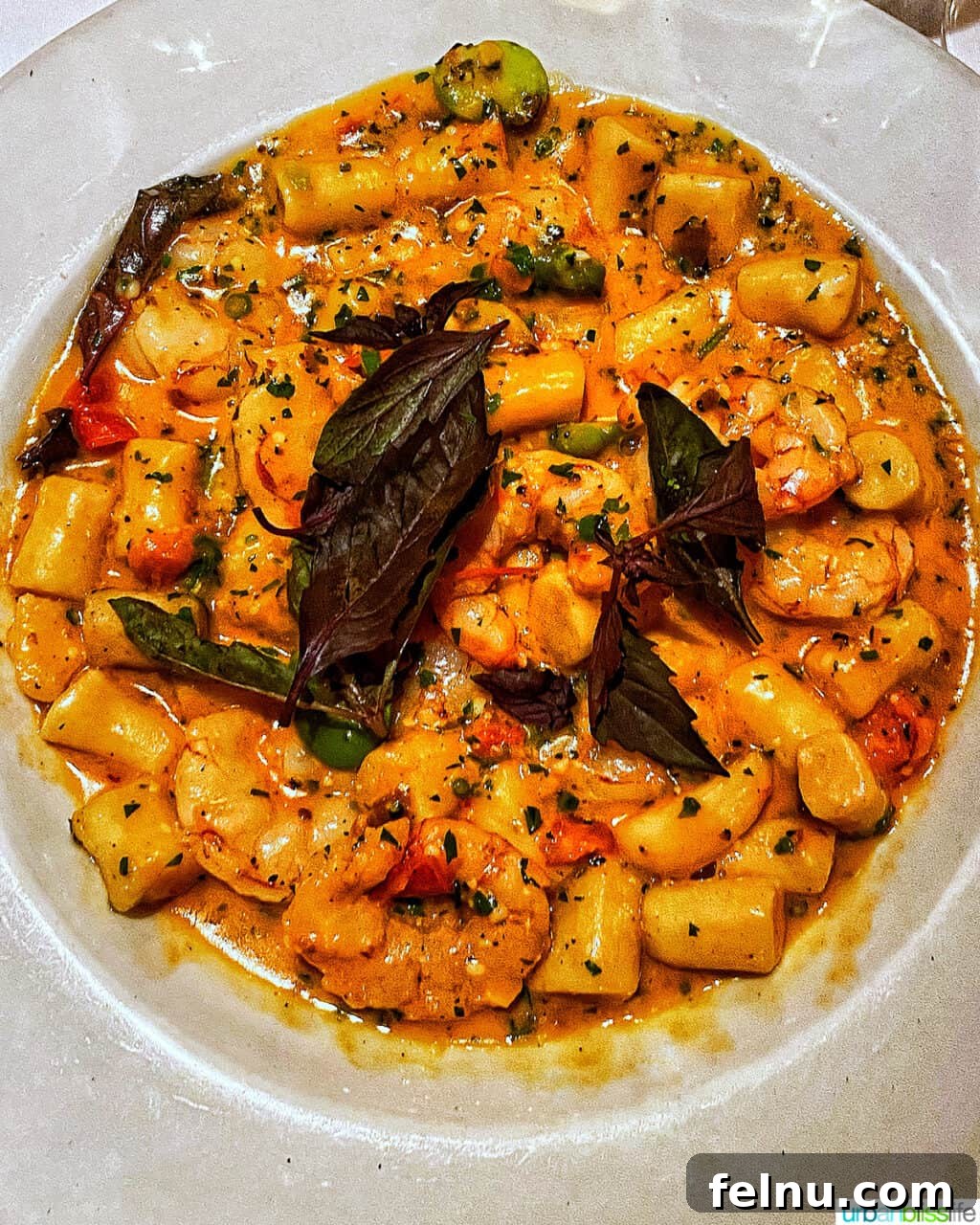 Culinary Gems of Downtown Santa Barbara 37 Gnocchi at Toma in Santa Barbara