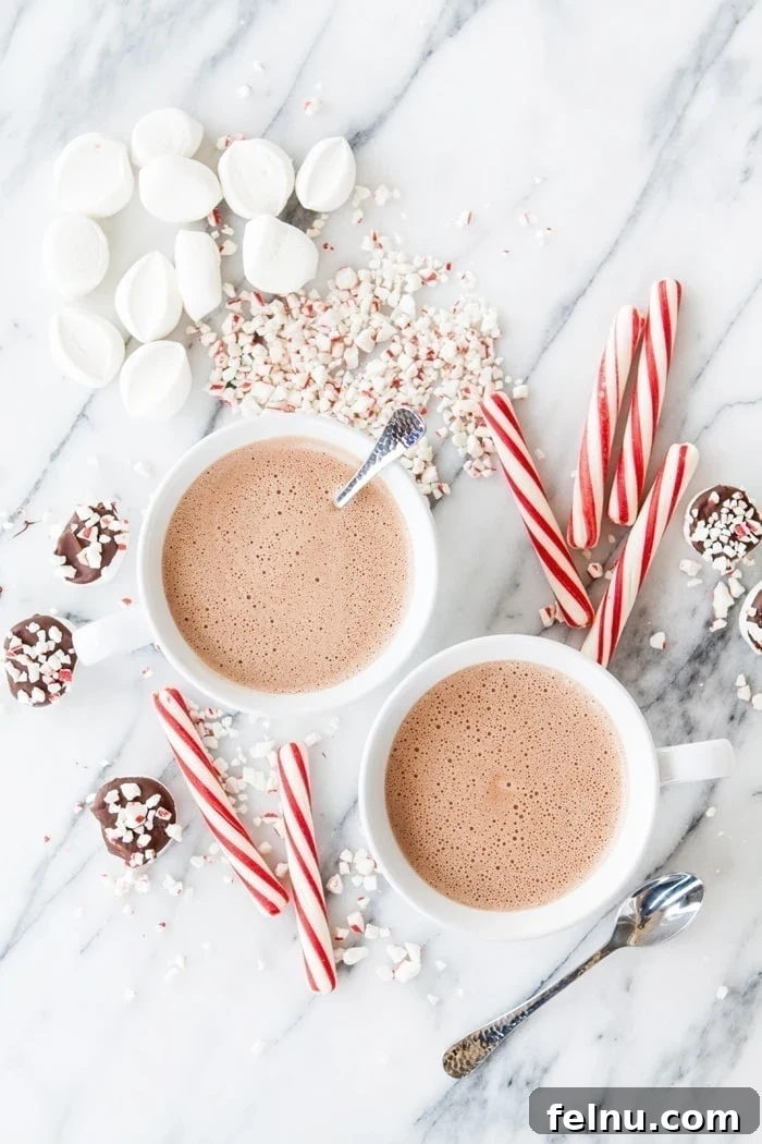 20+ Delicious Baileys Cocktails for Christmas Cheer 4 Two cups of spiked peppermint mocha hot chocolate, generously topped with fluffy marshmallows and festive candy canes.