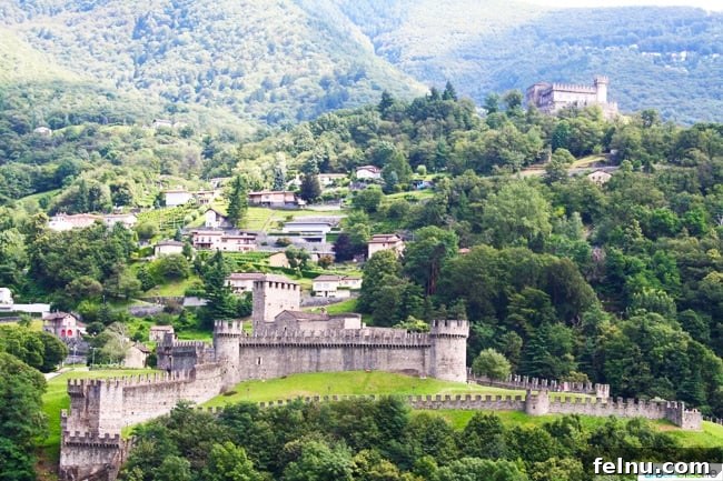 Two of the Three Castles of Bellinzona