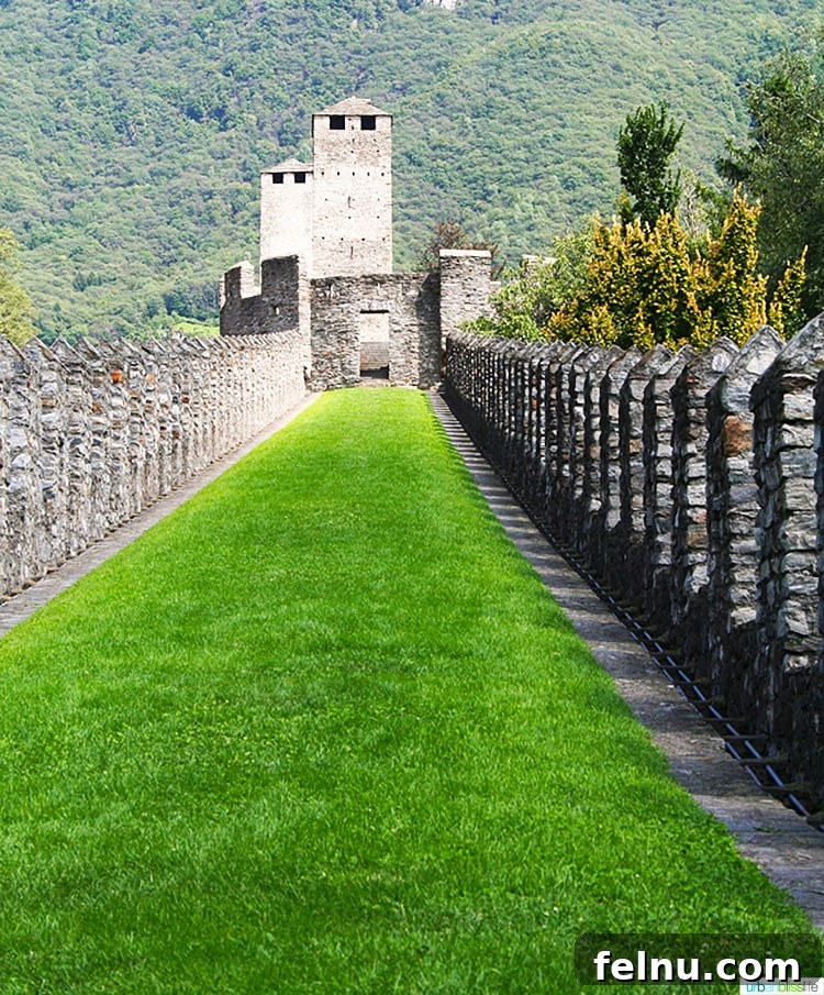 Bellinzona Castles Above Tunnel