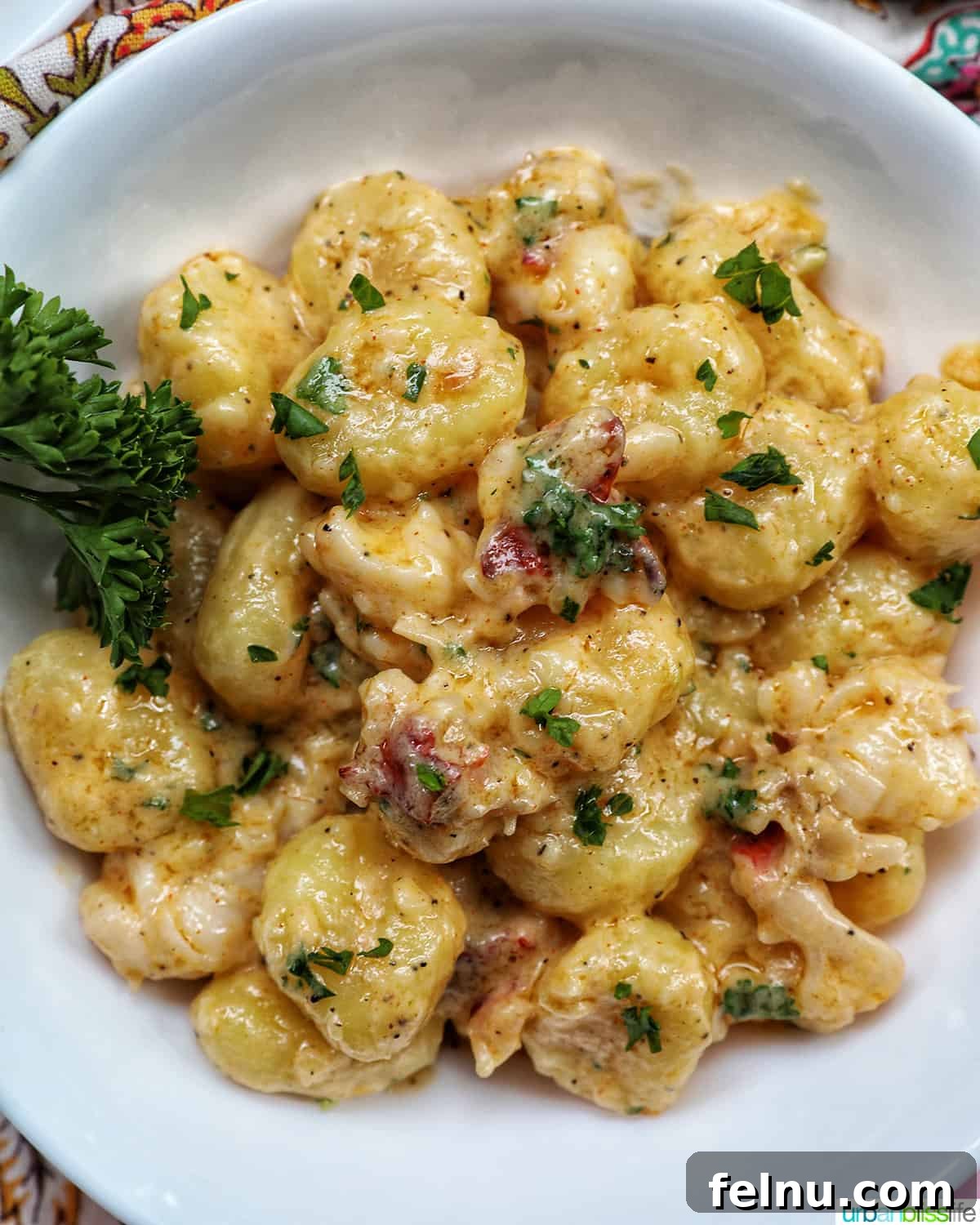 Decadent Lobster Gnocchi 2 A close-up shot of creamy lobster gnocchi garnished with fresh herbs in a white bowl, ready to be served.