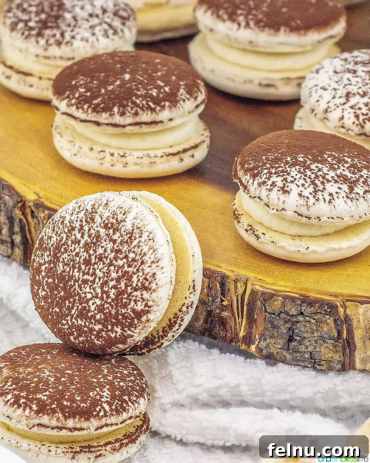 Espresso Mascarpone Macarons 2 Stacks of tiramisu macaron cookies, showcasing their delicate shells and creamy filling.