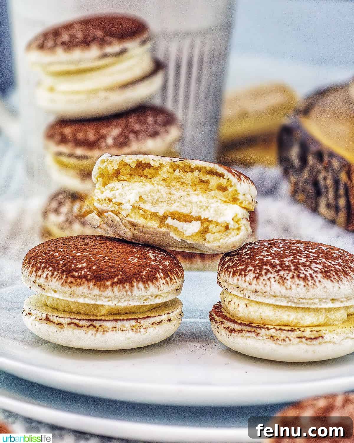 Espresso Mascarpone Macarons 3 A close-up view of a tiramisu macaron cut in half, revealing the creamy filling and delicate shell texture.