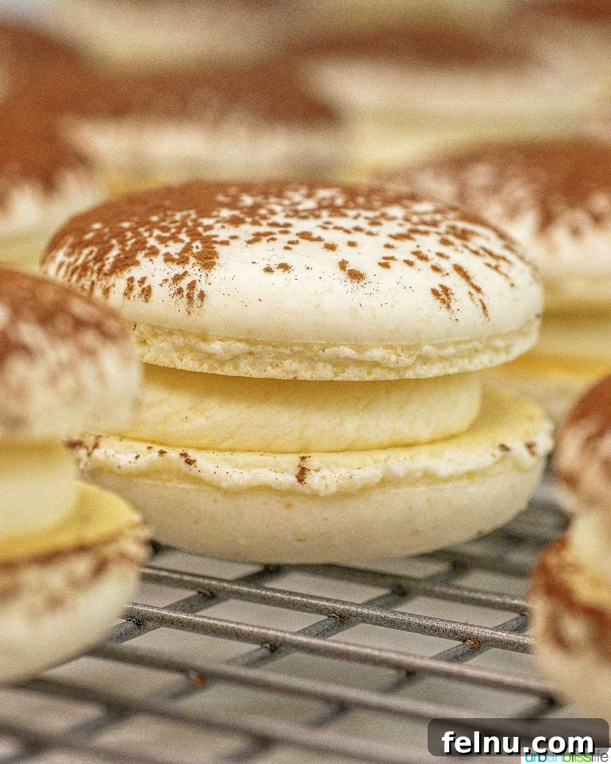 Espresso Mascarpone Macarons 21 Close-up of perfectly formed tiramisu macarons cooling on a wire rack.