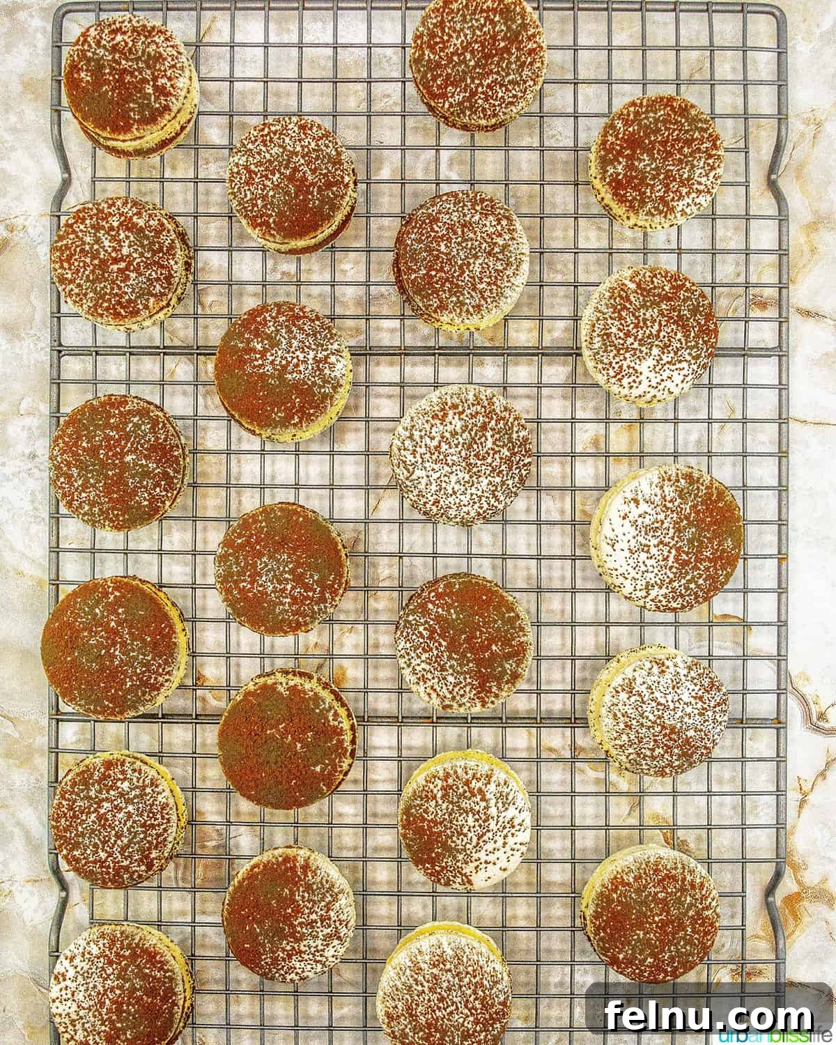 Espresso Mascarpone Macarons 23 Rows of perfectly baked tiramisu macarons cooling on a wire rack.