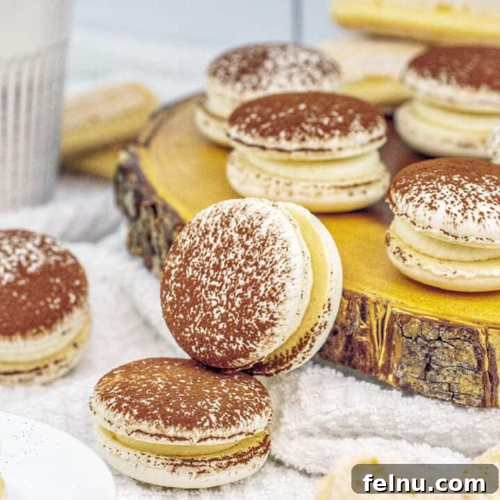 Espresso Mascarpone Macarons 24 Stacks of tiramisu macaron cookies, ready to be served.