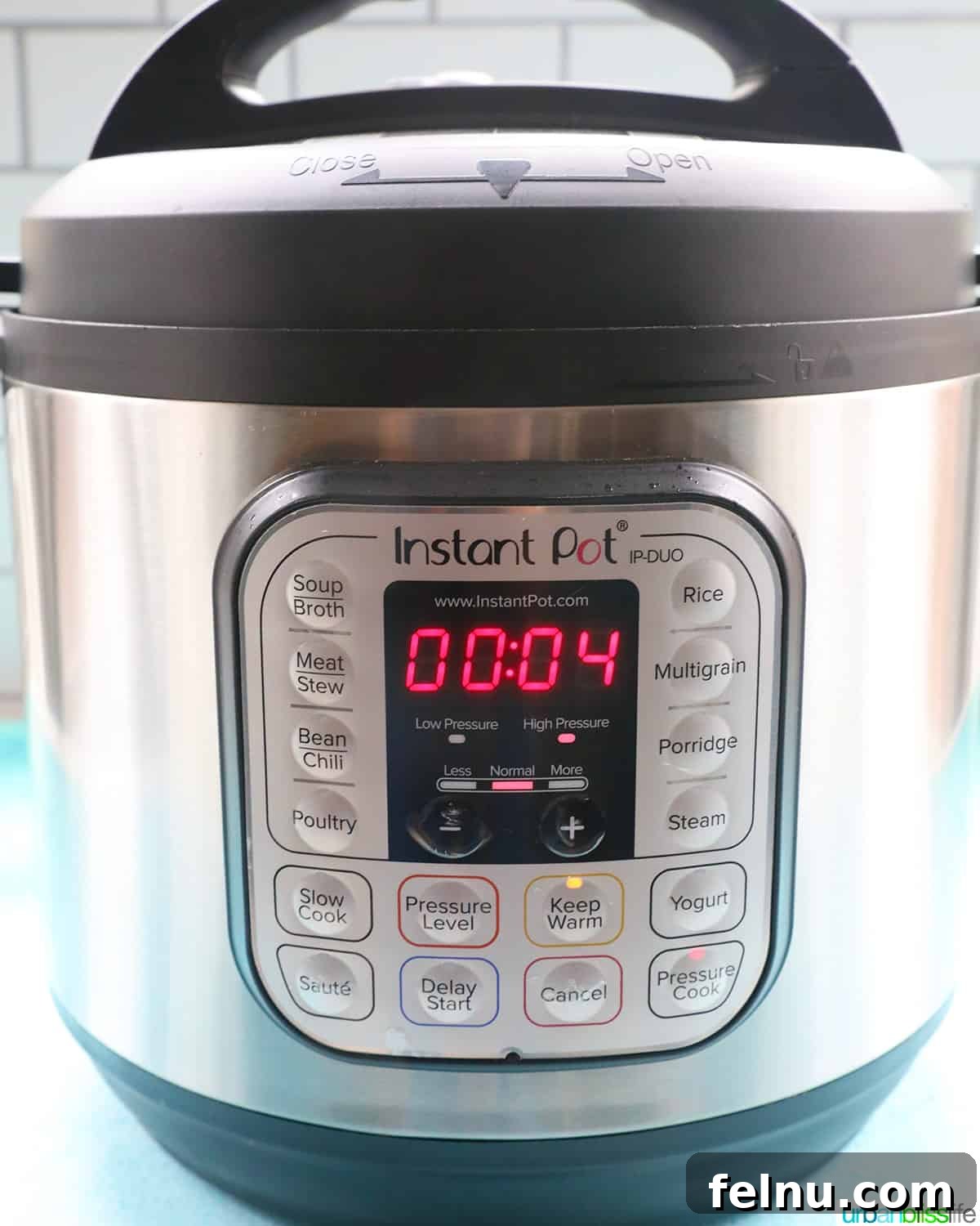 Your Stress-Free Thanksgiving Guide 6 front of instant pot