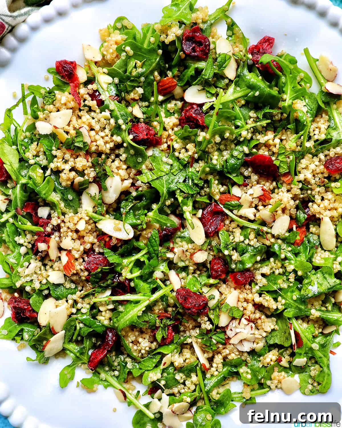 Vibrant Arugula Quinoa Harvest 3 white bowl with arugula and quinoa salad with sliced almonds and dried cranberries.