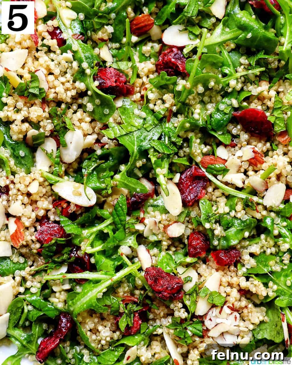 Vibrant Arugula Quinoa Harvest 10 arugula and quinoa salad with sliced almonds and dried cranberries.