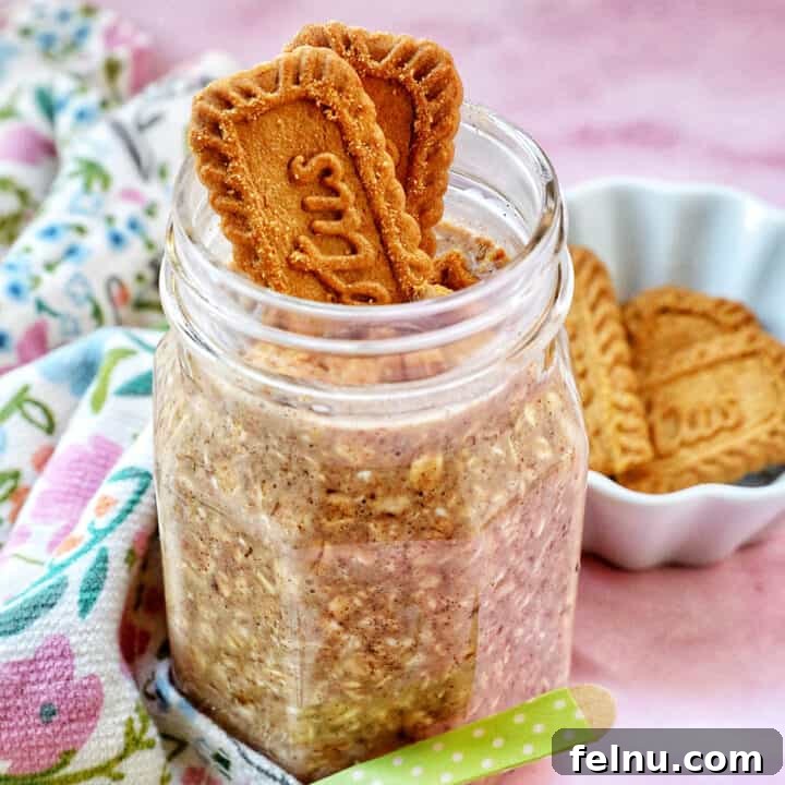 Biscoff overnight oats in a jar with crumbled Biscoff cookies on top.
