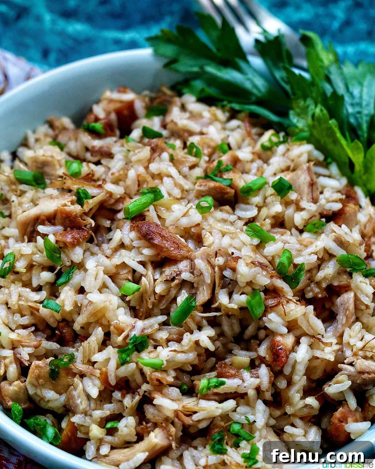 Savory Garlic Adobo Fried Rice 2 A vibrant bowl of Adobo Fried Rice, garnished with fresh parsley, ready to be enjoyed.