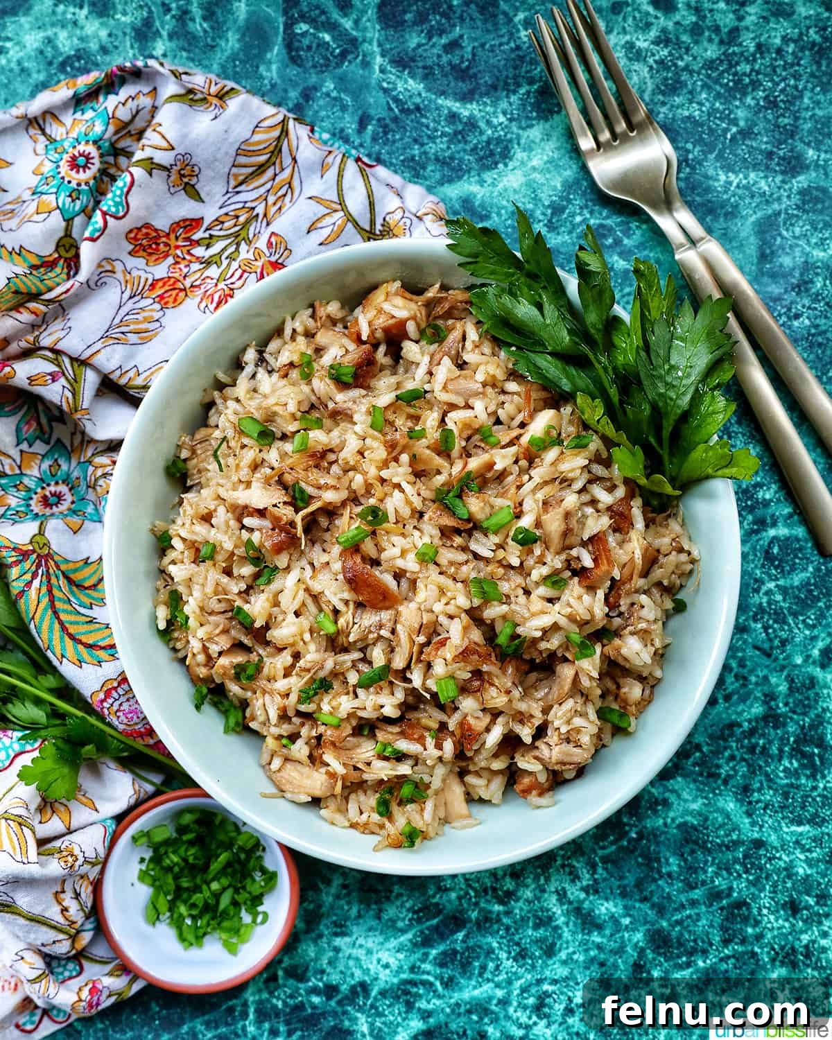 Savory Garlic Adobo Fried Rice 12 An overhead shot of a bowl of Adobo Fried Rice, garnished with fresh parsley, with a side bowl of green onions and two forks, inviting diners to share.