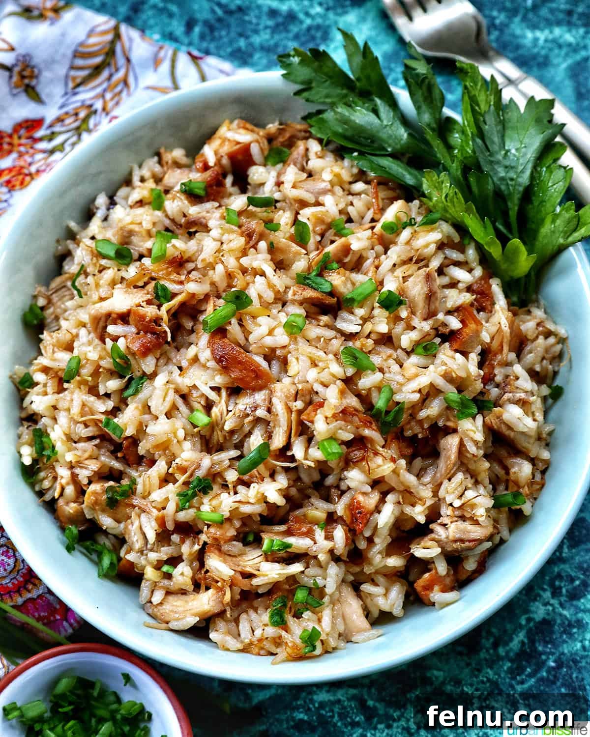 Savory Garlic Adobo Fried Rice 3 A close-up shot of a bowl of Adobo Fried Rice, garnished with fresh parsley, showcasing its rich texture and appetizing appeal.