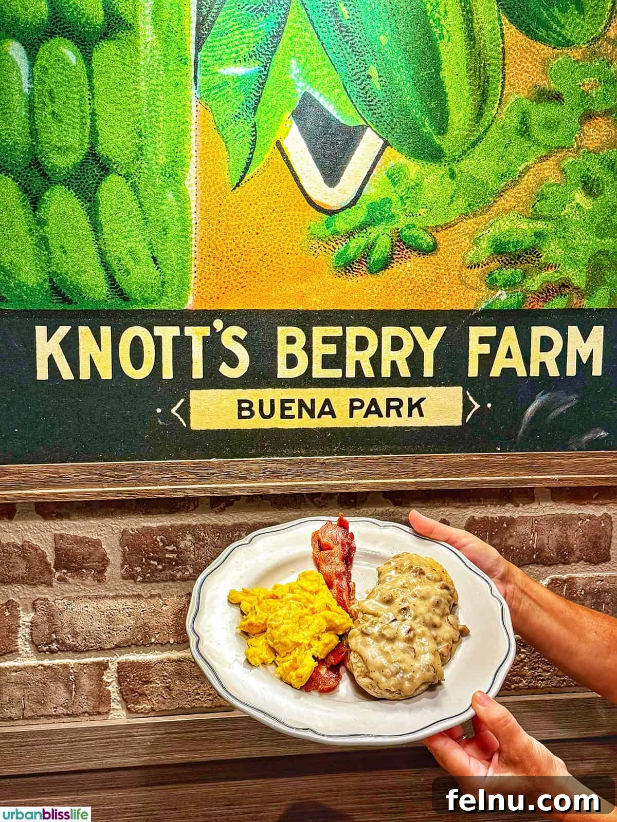 Dining Hotspots in Buena Park 15 A hearty breakfast plate featuring a variety of delicious items at Thirty Acres Kitchen in Buena Park, California, perfect for fueling up for a day at Knott's Berry Farm.