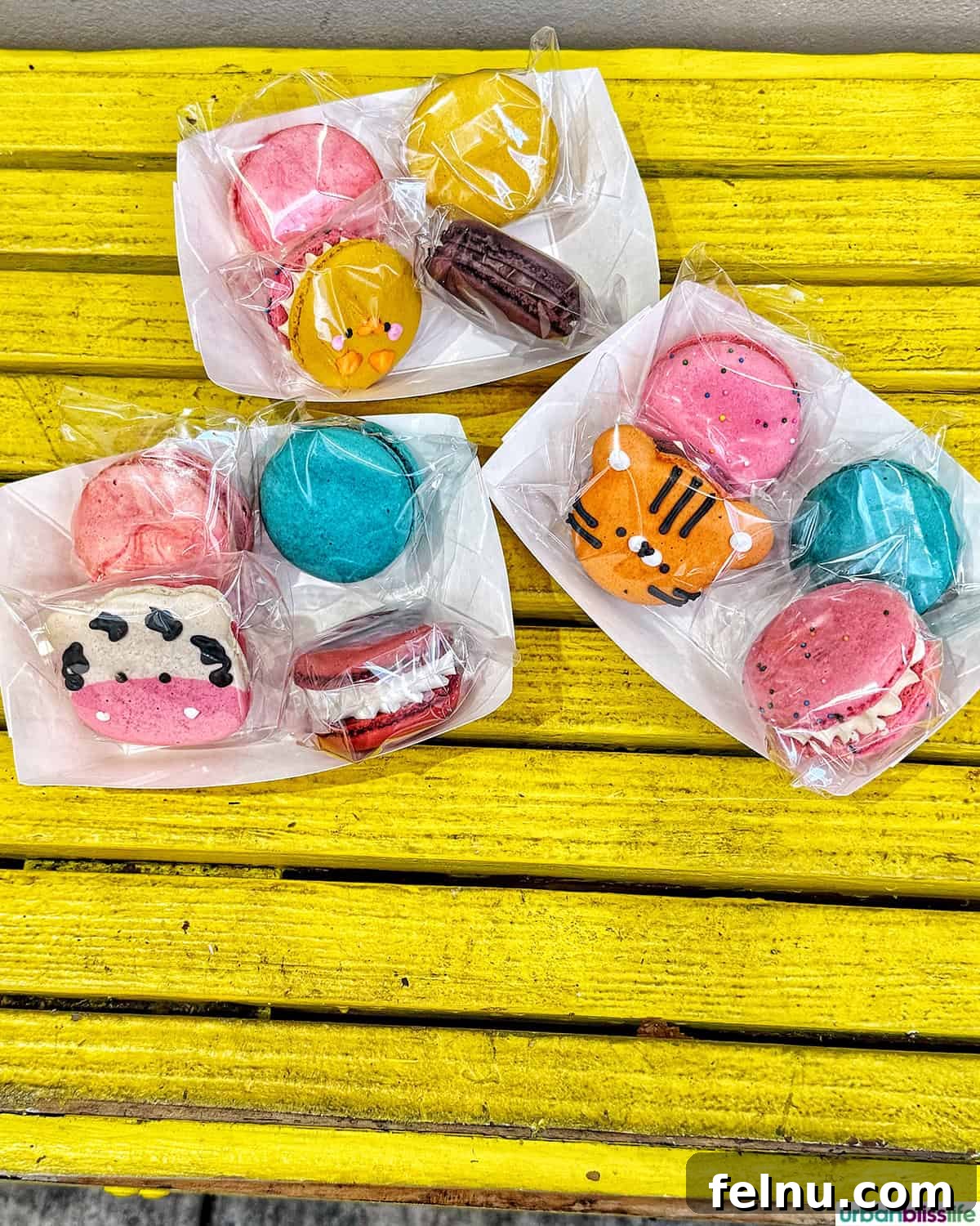Dining Hotspots in Buena Park 8 A vibrant selection of colorful macaron cookies at The Sweet Box in Buena Park, California, showcasing the shop's creative and whimsical dessert offerings.