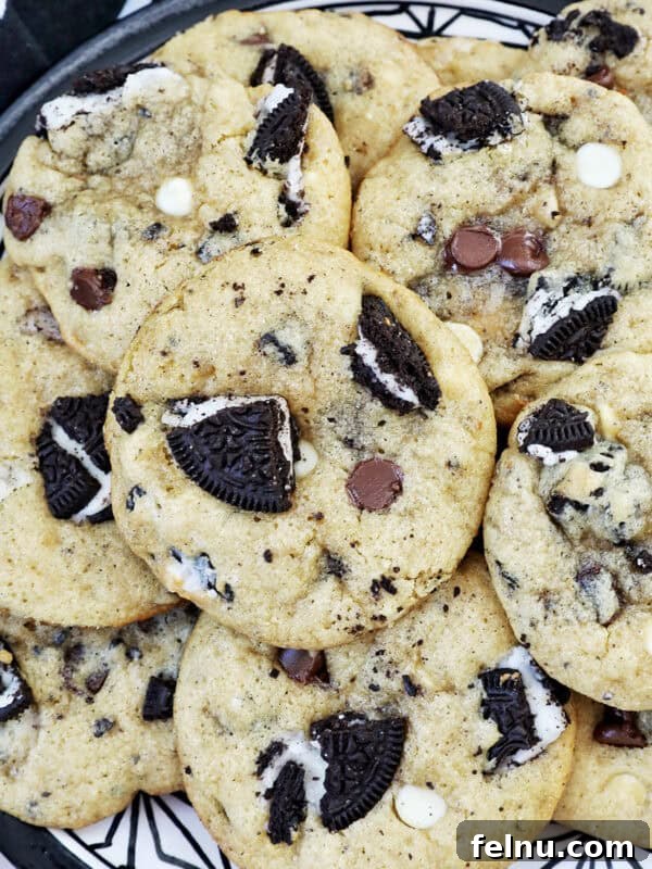 Cookies and Cream Protein Powder Cookies