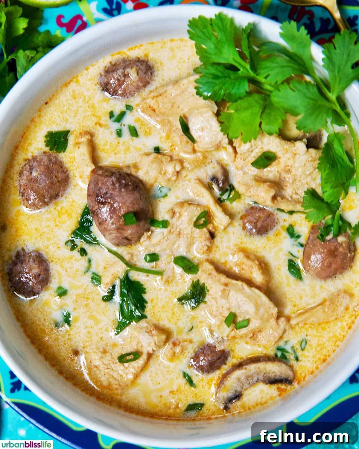 Bowl of Thai Coconut Chicken Soup (Tom Kha Gai)