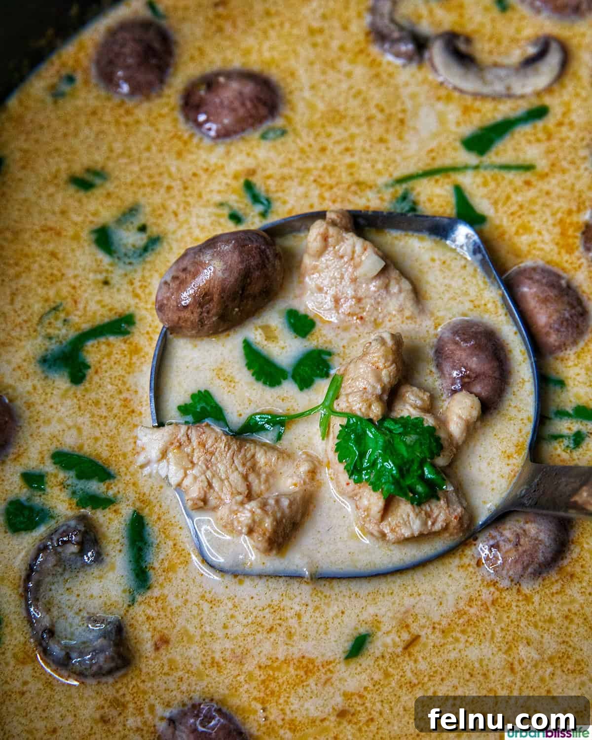 ladle full of Thai Coconut Chicken Soup (Tom Kha Gai).