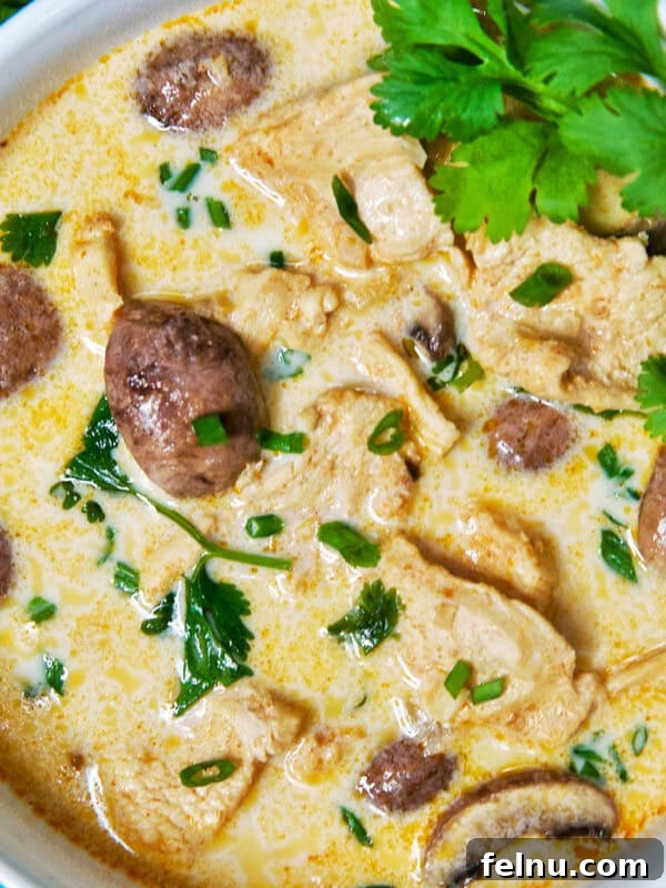 bowl of Thai Coconut Chicken Soup (Tom Kha Gai).