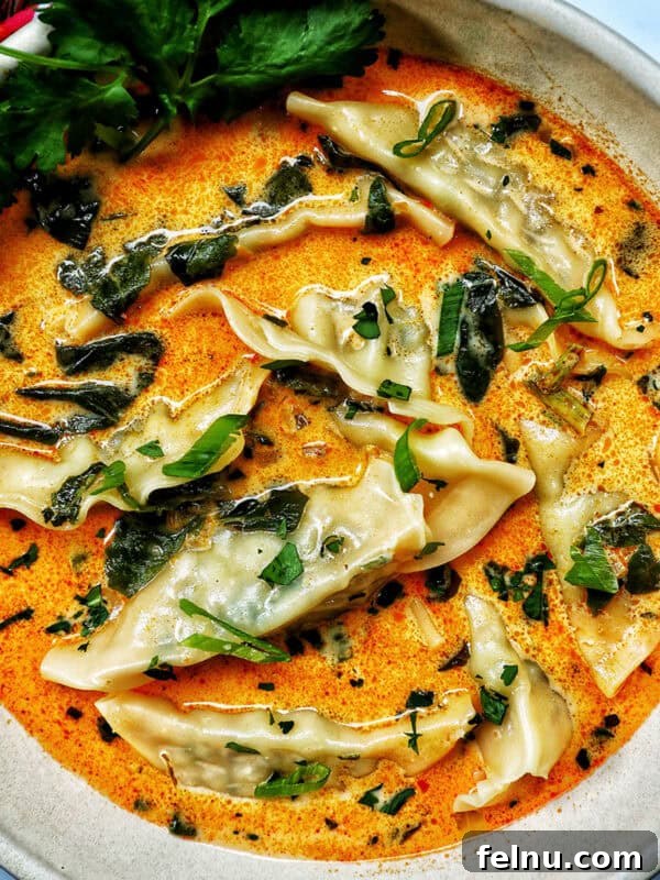 bowl of Thai red curry dumpling soup.