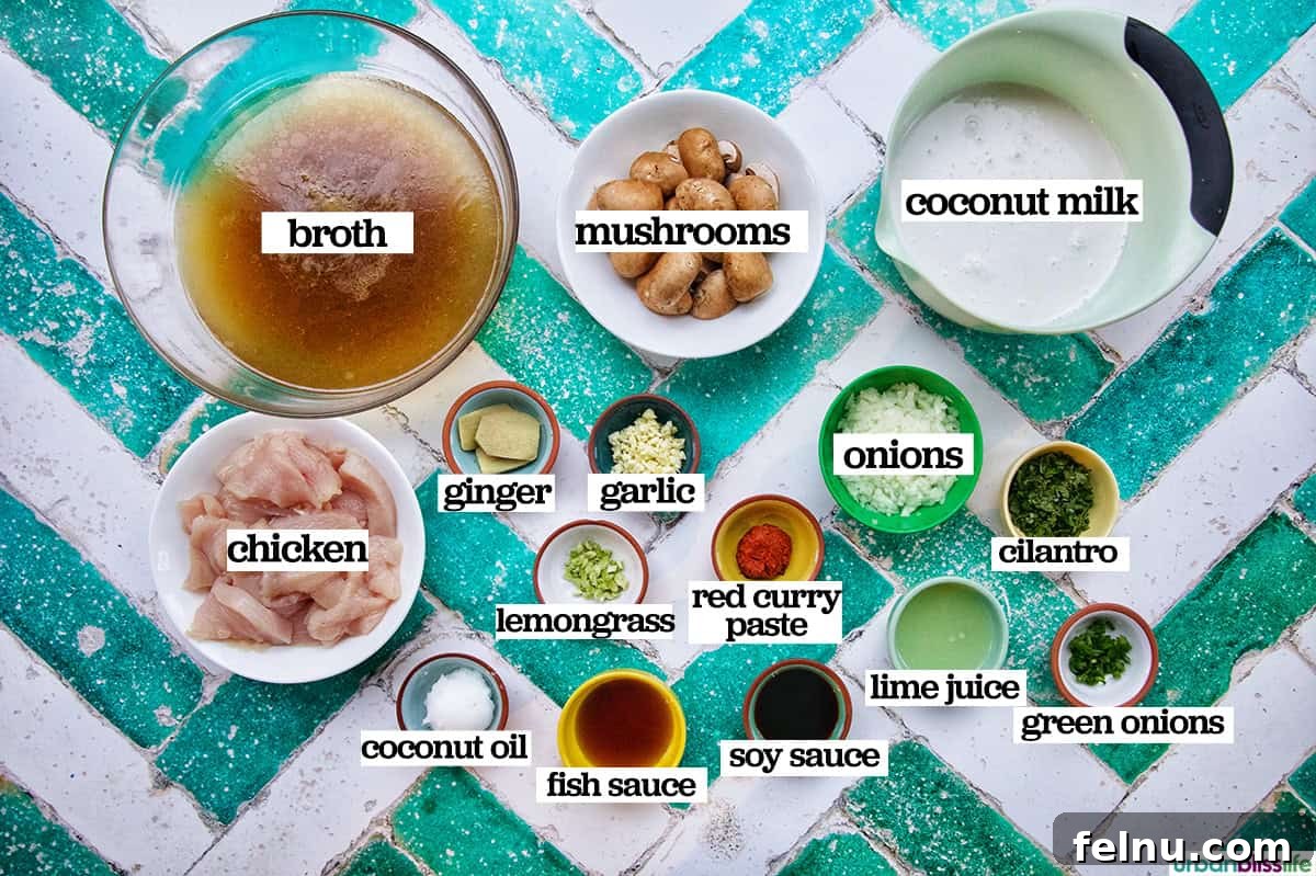 Ingredients for Thai Coconut Chicken Soup (Tom Kha Gai)